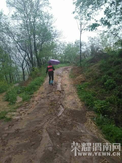 ��������Ҵ��·�ӿ����ݣ�������ްɣ�