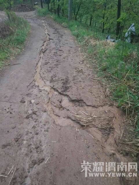 ��������Ҵ��·�ӿ����ݣ�������ްɣ�