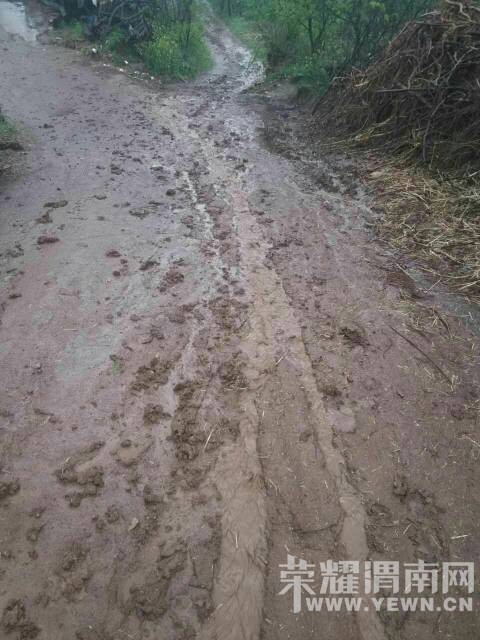 ��������Ҵ��·�ӿ����ݣ�������ްɣ�