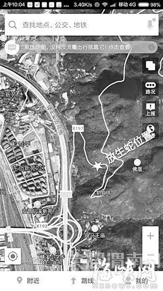 ����һ�ص��ֱ��������� ��Сѧ��500��(ͼ)