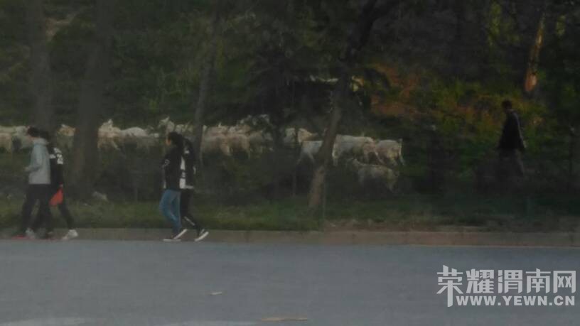 ����������·������·����·���ϱߣ����ٹ�··���Ϸ���Σ��!