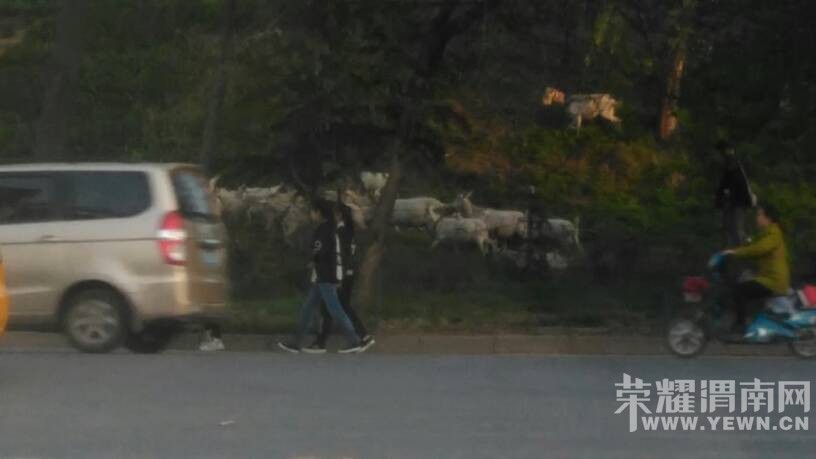 ����������·������·����·���ϱߣ����ٹ�··���Ϸ���Σ��!