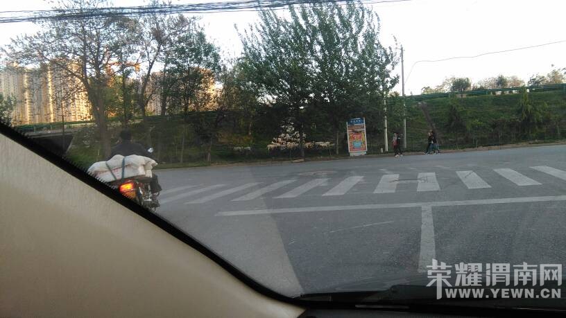 ����������·������·����·���ϱߣ����ٹ�··���Ϸ���Σ��!