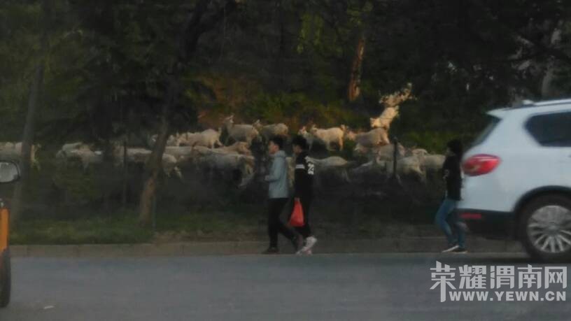 ����������·������·����·���ϱߣ����ٹ�··���Ϸ���Σ��!