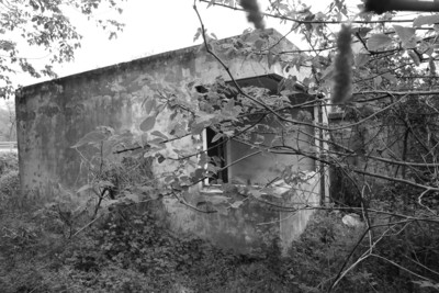 "����ʧɢ24���Ұ�˸�"׷��:�ھӳ���Ӳ�����