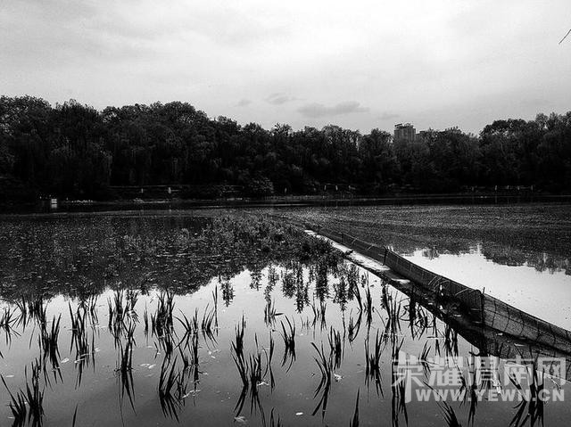 �������칬��԰����ˮ�ء����½����ͺɵأ�ͼ��