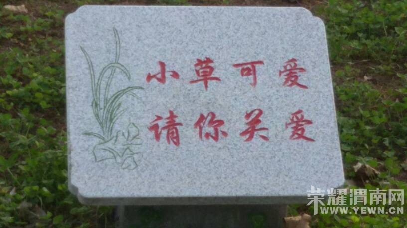 111523gtt8loolqnqiulco.jpg