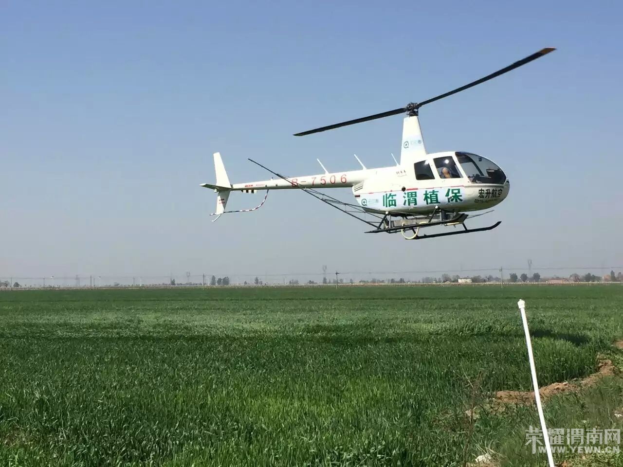 ��μֲ����ֱ�����ޱ�ѷR44II��