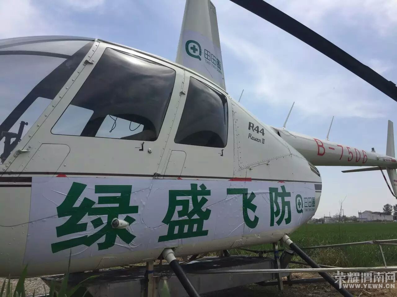 ��ʢ�ɷ���ֱ�����ޱ�ѷR44II��