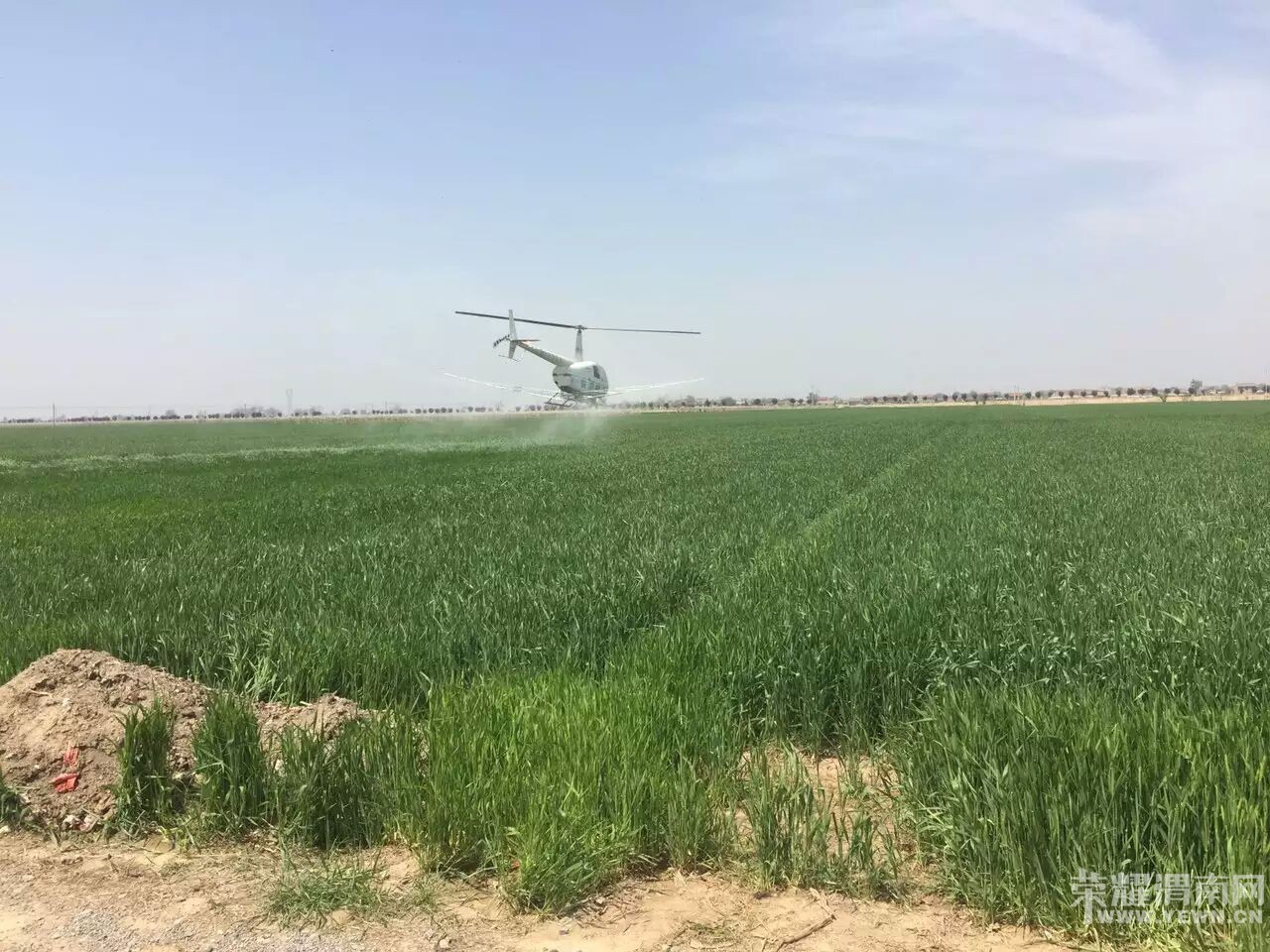 ��μֲ����ֱ�����ޱ�ѷR44II������״̬