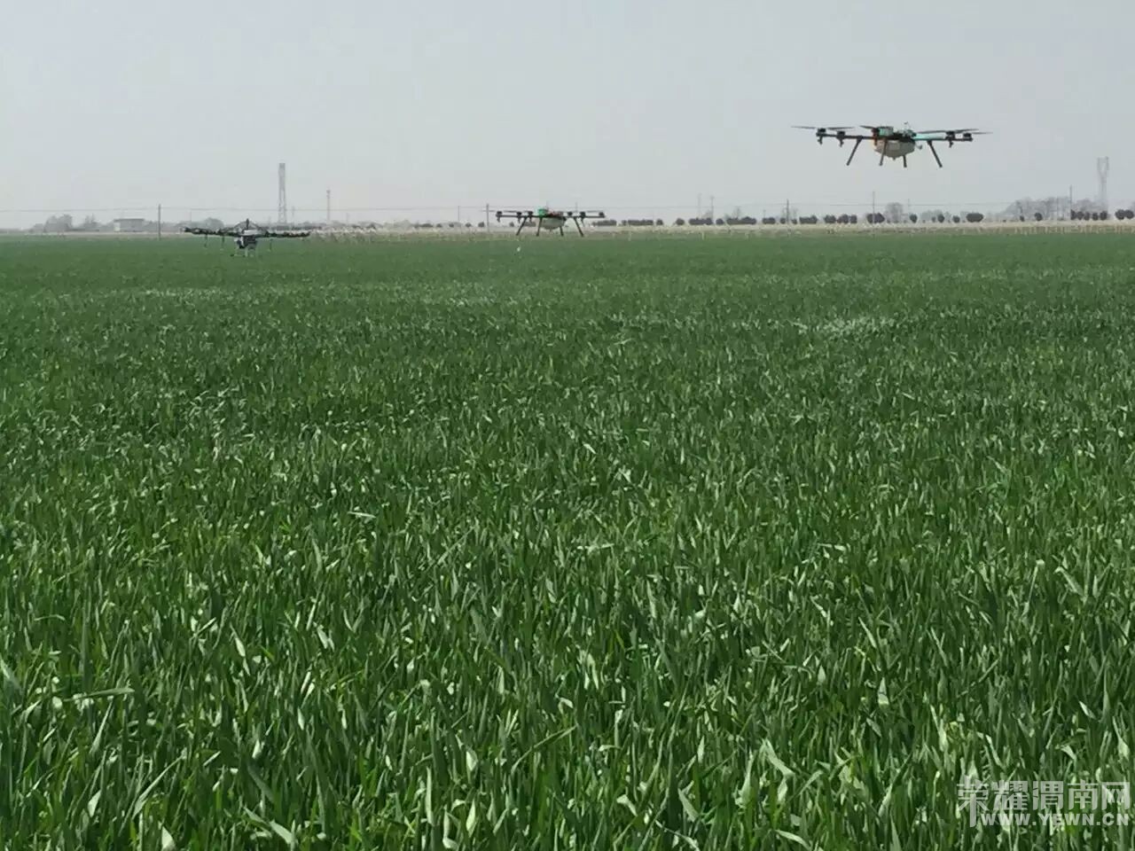 ��ʢ�ɷ���չʾֲ�����˻���Ⱥʽ��ҵ