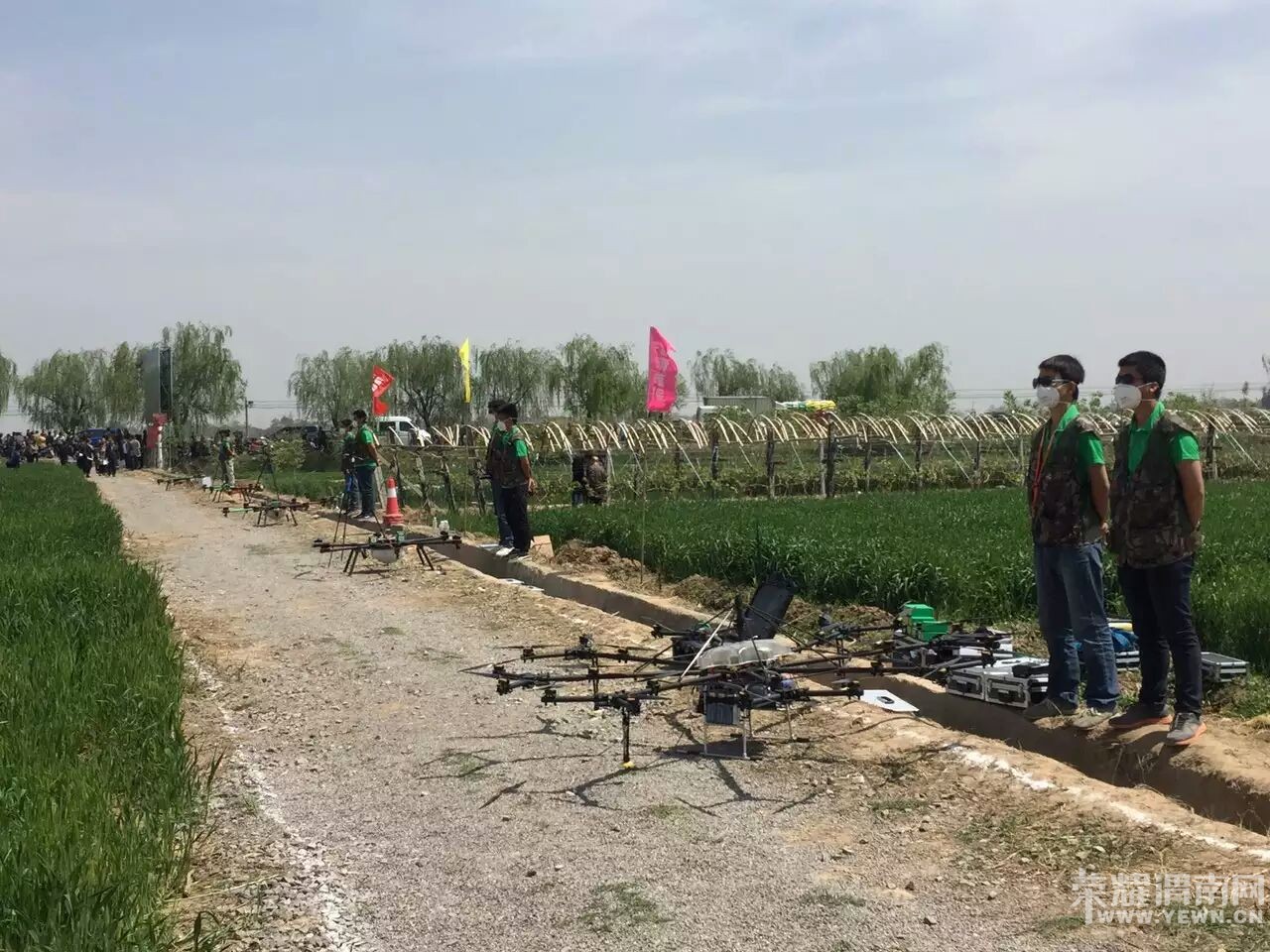 ��ʢ�ɷ���ֲ�����˻�����