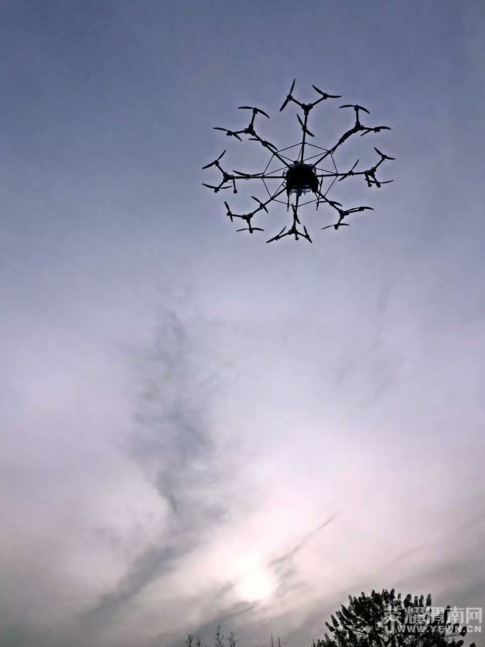 ��ʢ�ɷ���ֲ�����˻�24�����𺽹���״̬