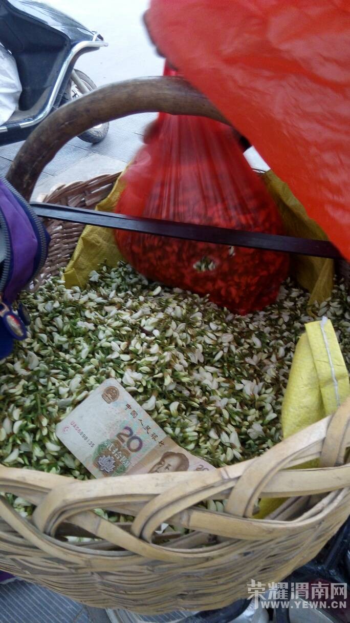 �ֵ�����Ʈ�㼾���óԲ��󣬾���ʵ�ݡ�