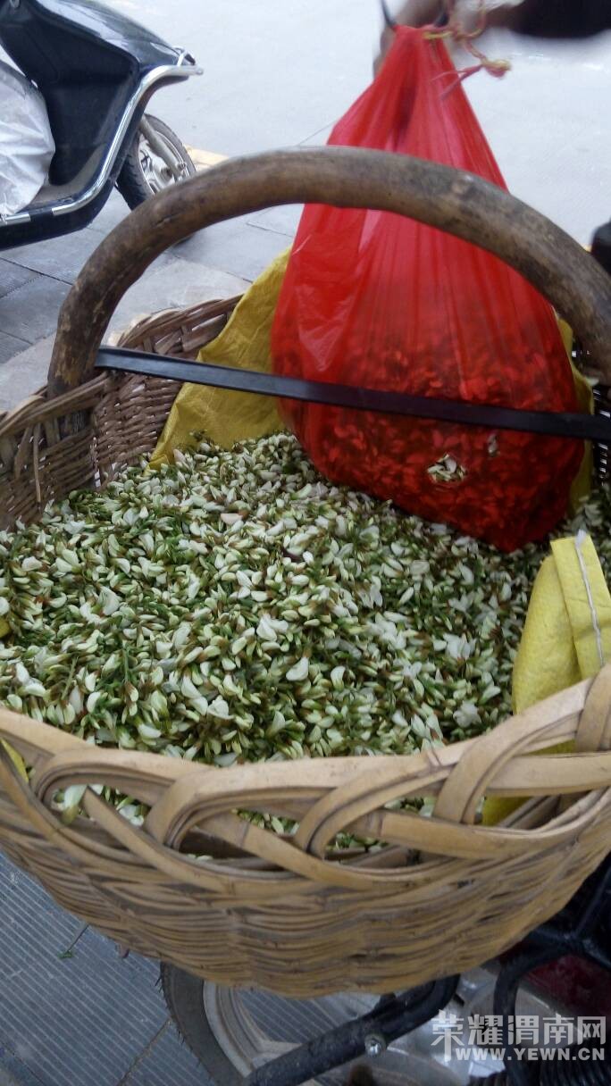 �ֵ�����Ʈ�㼾���óԲ��󣬾���ʵ�ݡ�