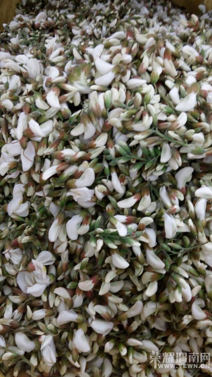 �ֵ�����Ʈ�㼾���óԲ��󣬾���ʵ�ݡ�