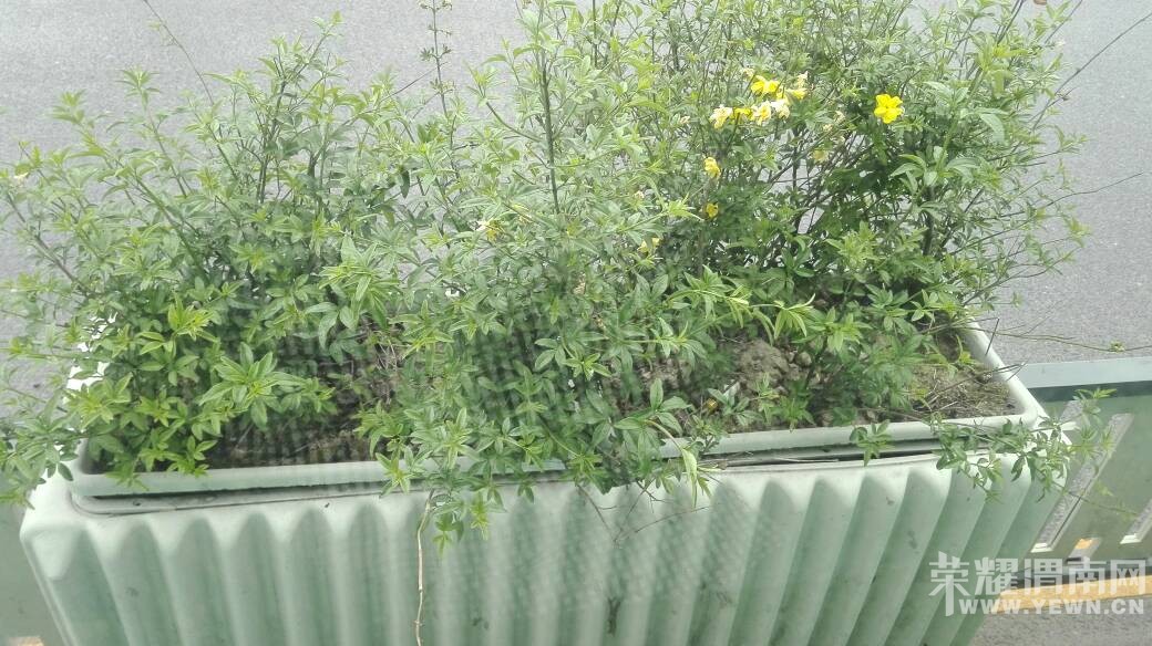 ��ɽ·�������̻���ֵ��μ��ѧϰ