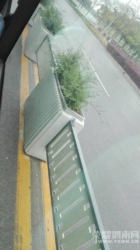 ��ɽ·�������̻���ֵ��μ��ѧϰ