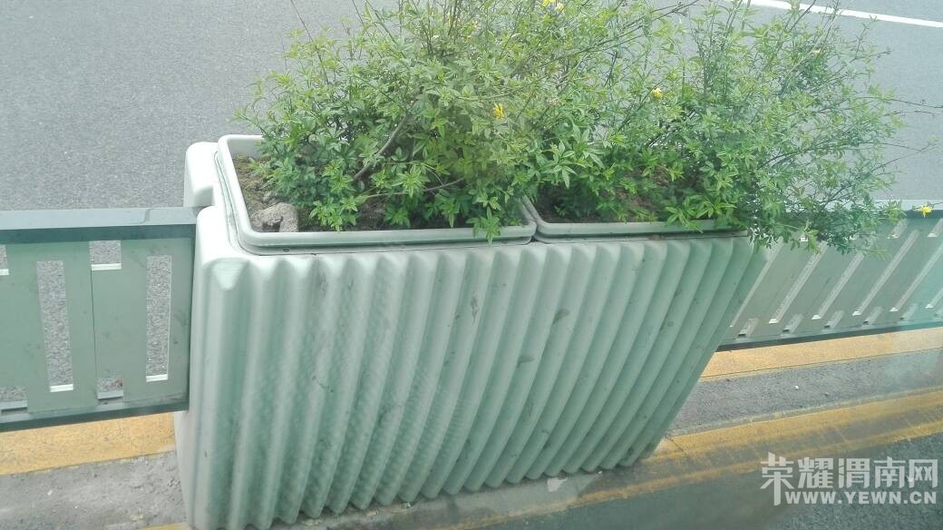 ��ɽ·�������̻���ֵ��μ��ѧϰ