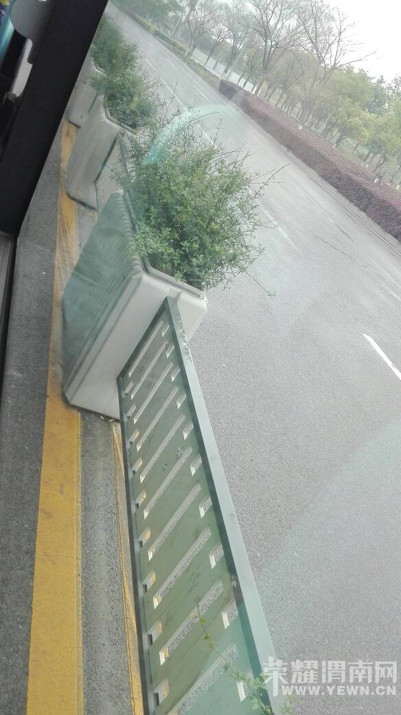 ��ɽ·�������̻���ֵ��μ��ѧϰ