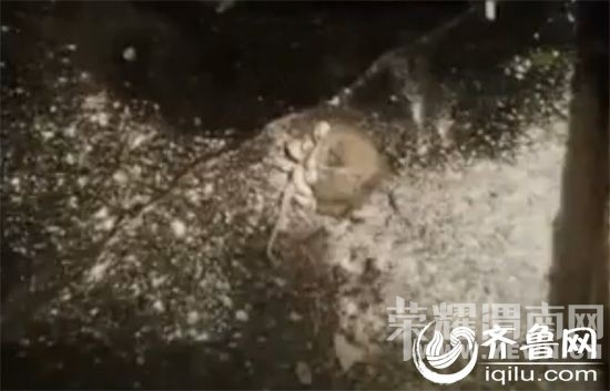 ������������ ������:���������ȥ����Ϊ(ͼ)