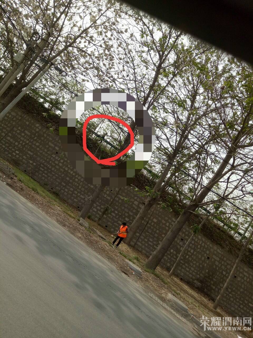 ����ʲô���డ��������ͳ�������