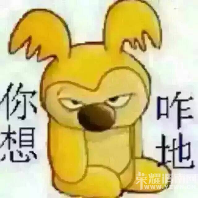213745f3ss0qw2s0yce3c0.jpg