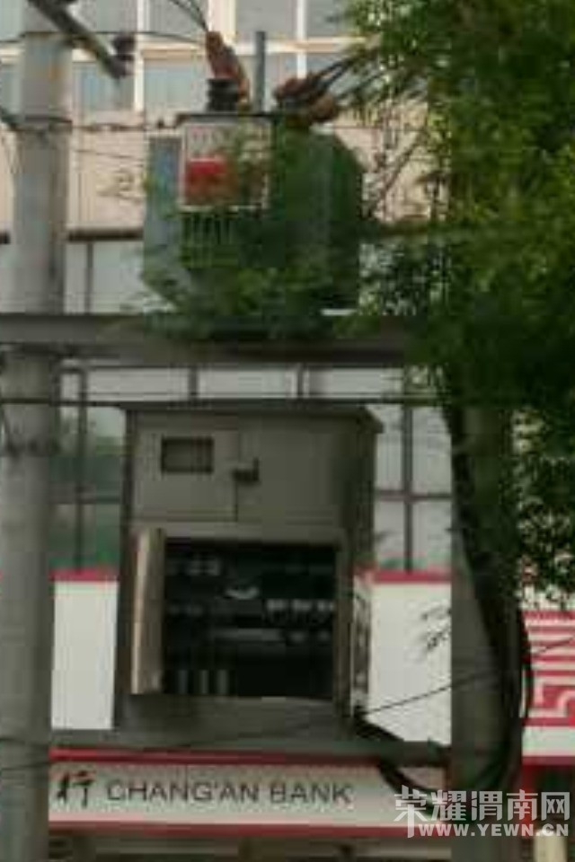 081802a1gv2fygfqzqvyjw.jpg