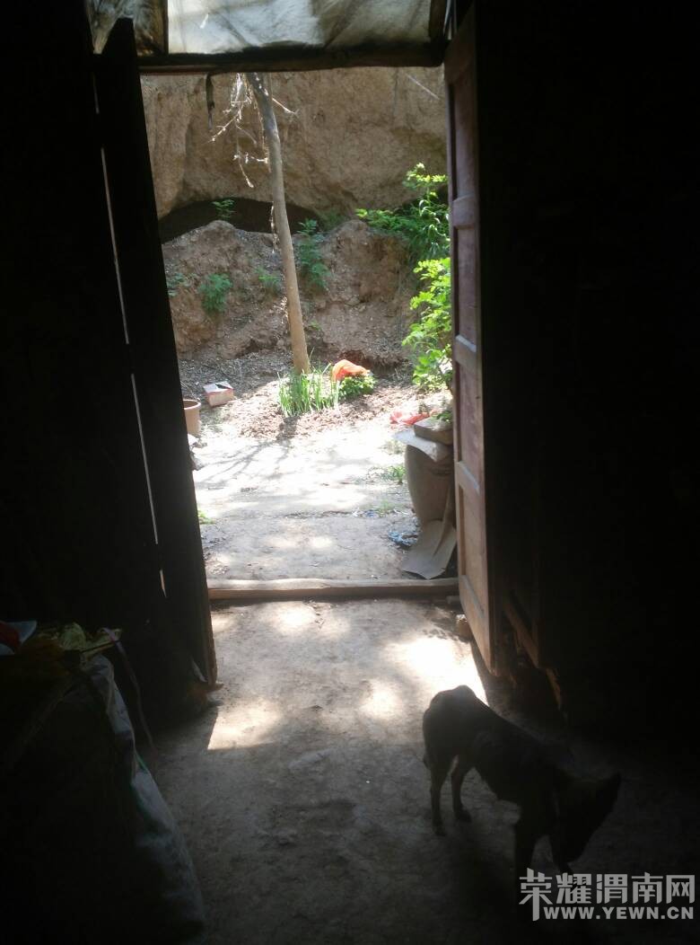141616krzaaunorouguzur.jpg