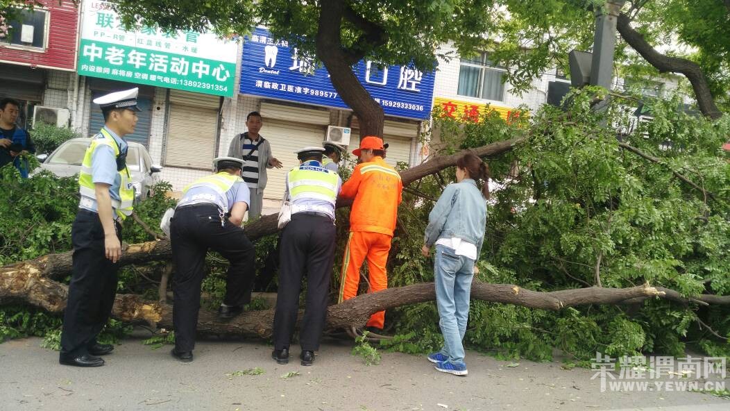 μ��Ҳ���кþ���ģ���������һֱ�����𾴣�