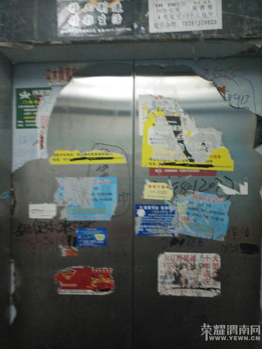 113007mylzzzlmvvrglssv.jpg