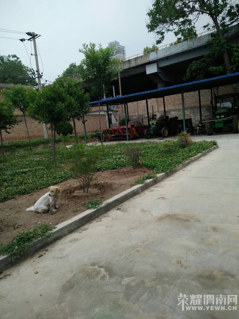 ����·ũ�������о�ԺҰ��ҧ��ס����һ���˿����֣�