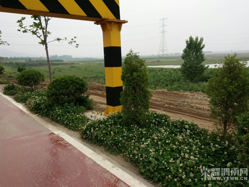 ���Ӱӣ�С���ֵ���ˮ�ţ�·�ϵ��ƻ���Ϊ���������ˣ�