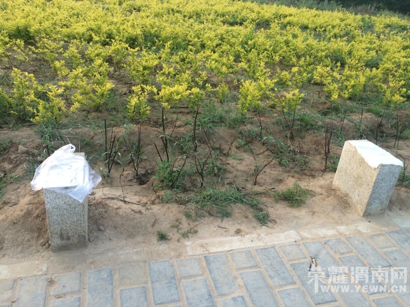 �ף������㻹���ɣ�����Ķ������ߡ�