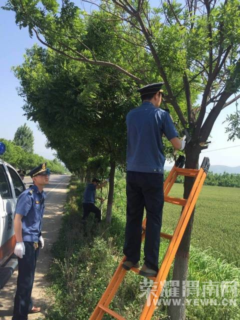 ���л����ϵ�·����ԱΪ���˺ͳ����İ�ȫ�������ˣ�