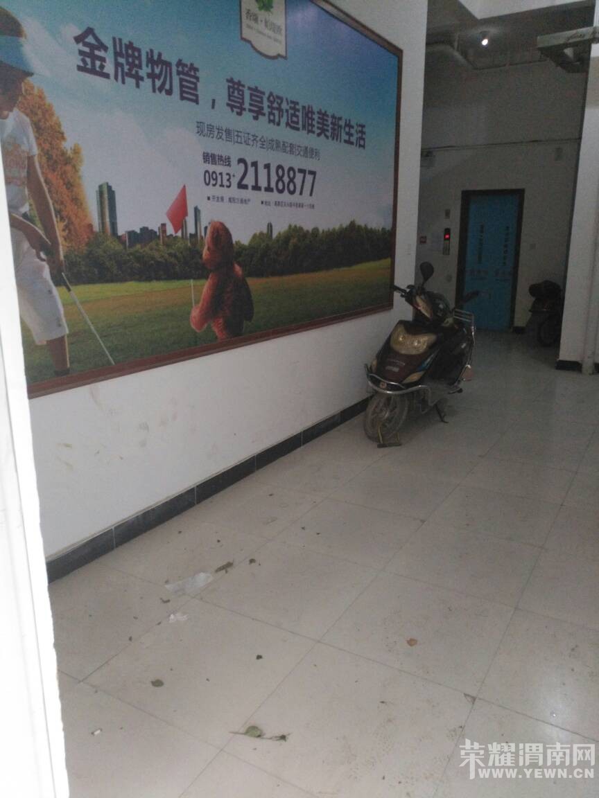 121336sybbkubtececlujy.jpg
