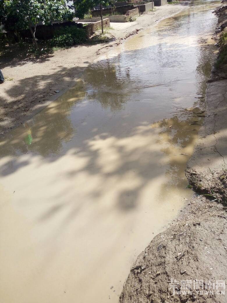 102705kditmcn2tnbcbzhh.jpg