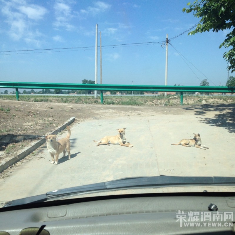 ��λ��С�硱������ô���������Ҫ������