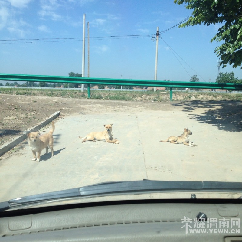 ��λ��С�硱������ô���������Ҫ������
