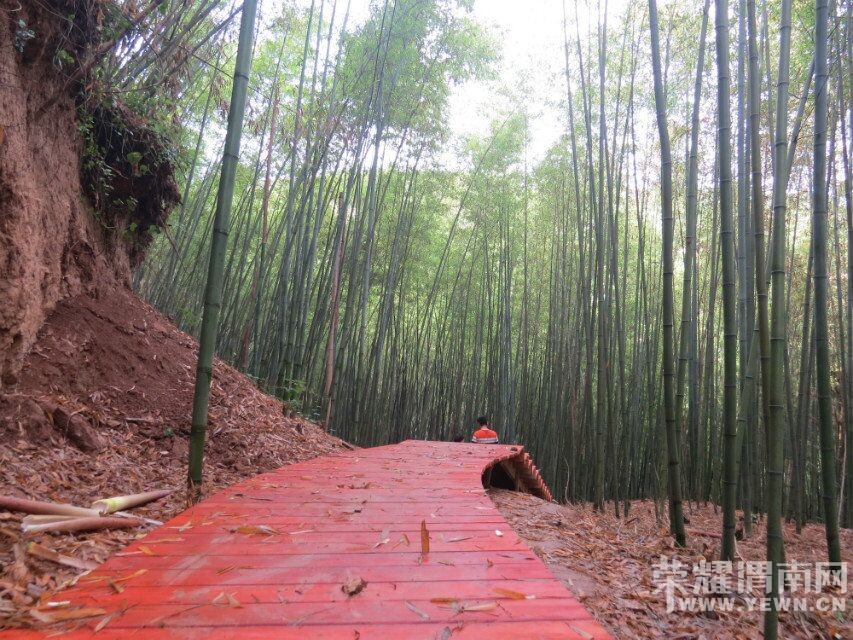 ��μ���߲����Ρ���5��18�ţ�����������¹ԭ�ﾨ�㹵�����񺣡��ժӣ��һ����