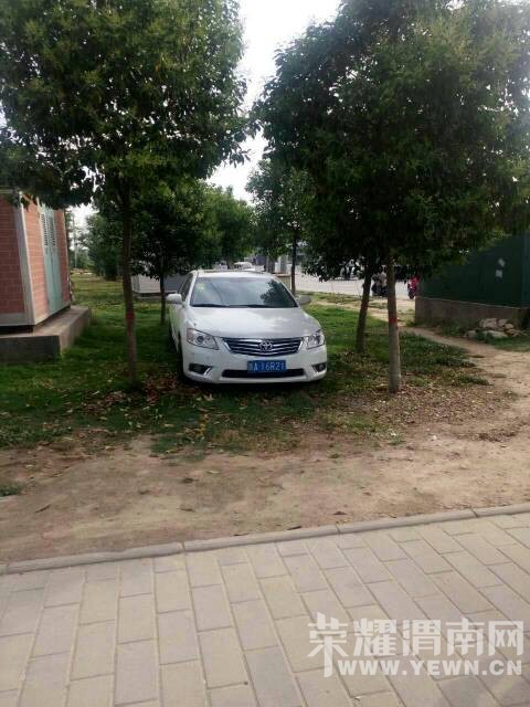 ��С�����ͣ����Υ�治˵����ѹС�ݣ�����