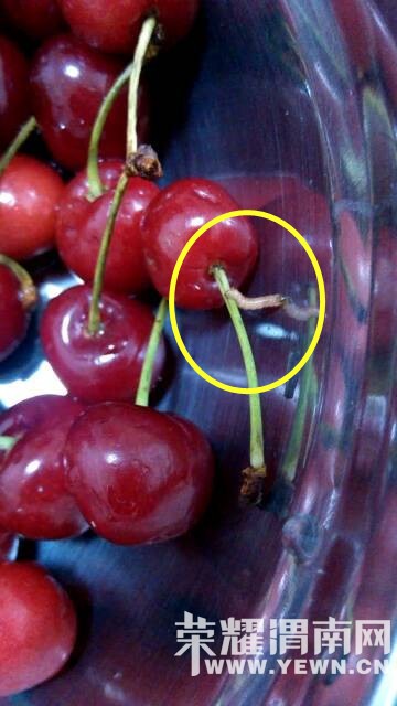 �����¿ھͱ���һĻ�ŵ��ˣ�Сӣ�ң�����������