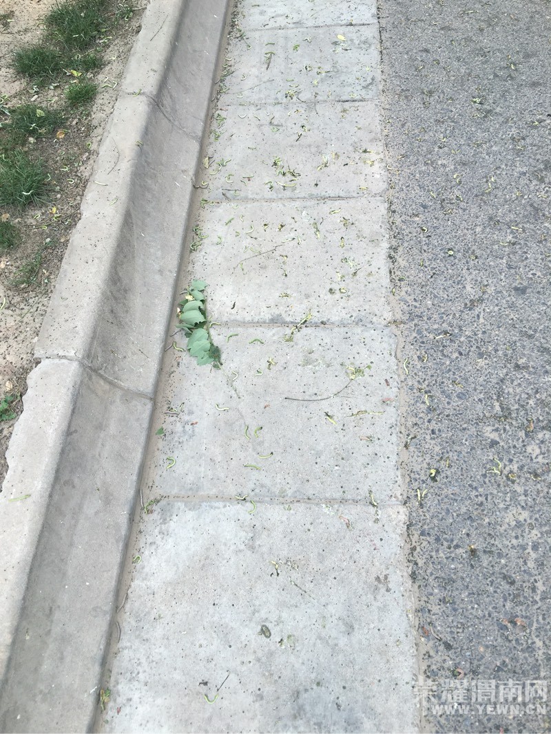 ����·�������е��Ĺ������Ϲ�����С��棬·�˺�����