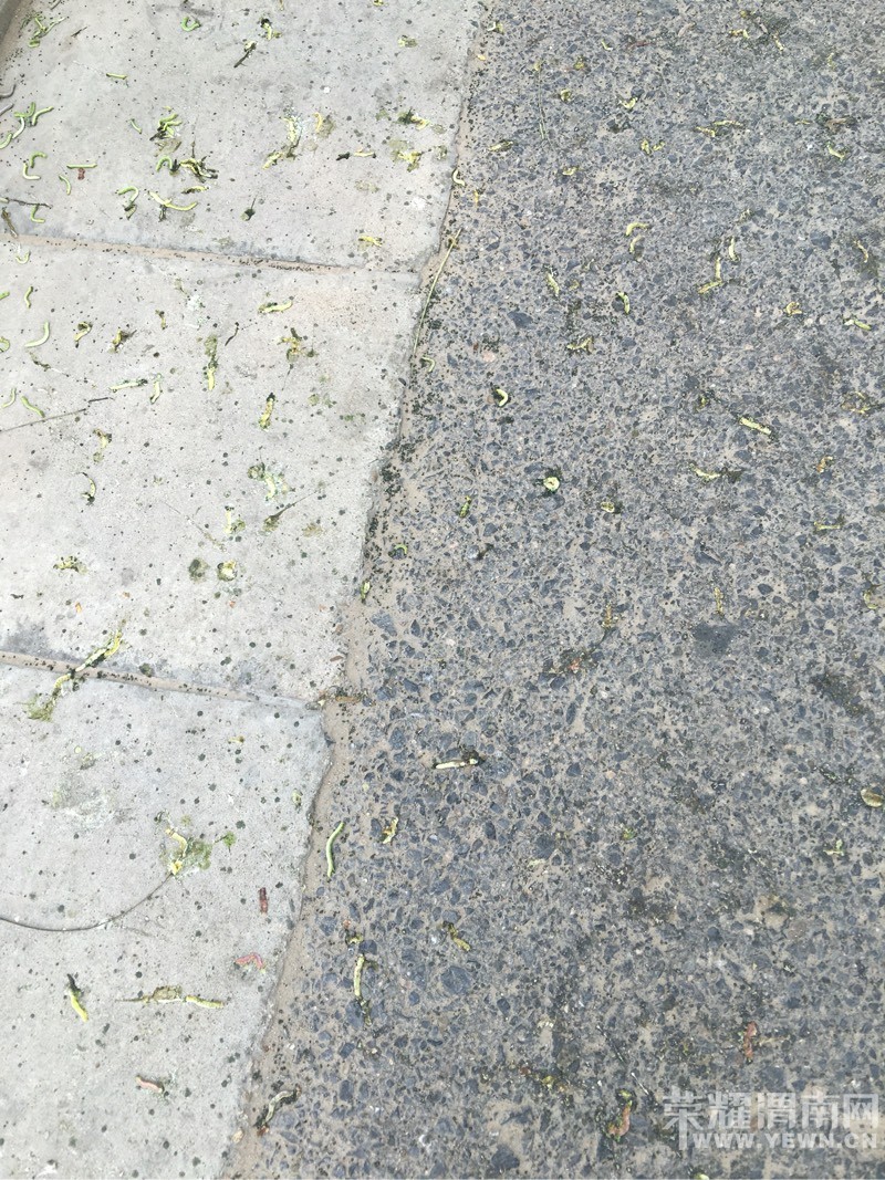 ����·�������е��Ĺ������Ϲ�����С��棬·�˺�����