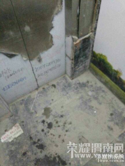 133045cou1attc3eaea6ku.jpeg