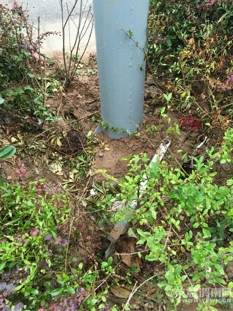 ��·��̫�����˰ɣ���ز����쵼�Ͻ�����Ŷ��