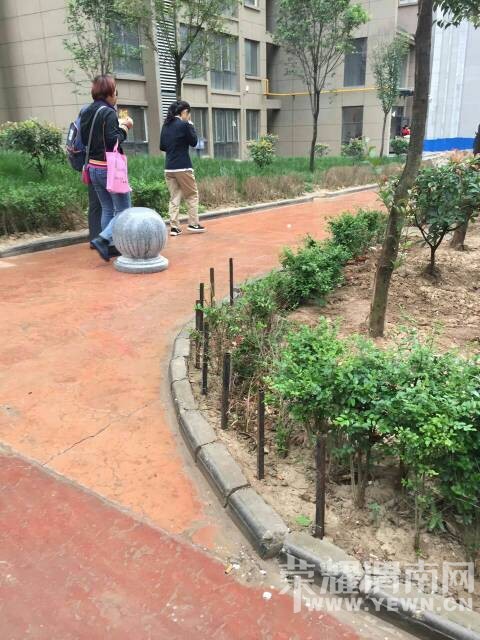 120707v2bj2hl45l5teed4.jpg