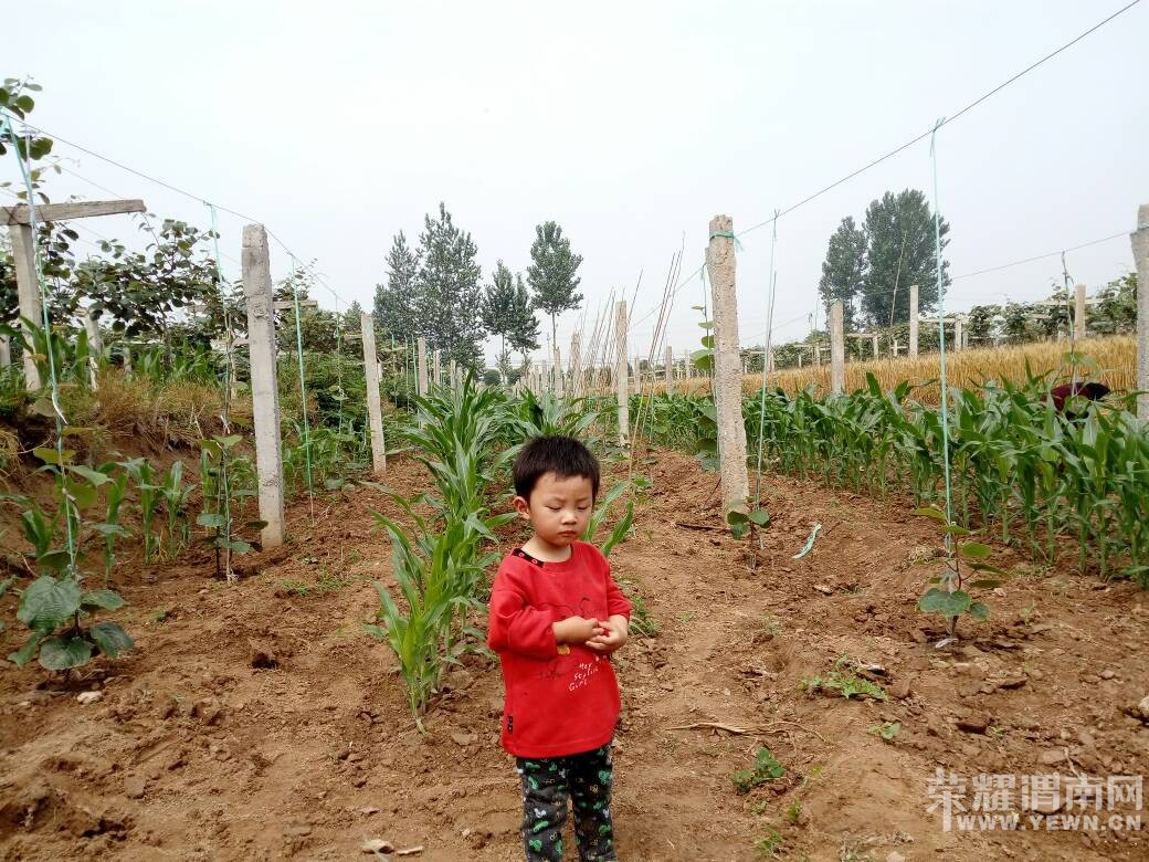124020cb9b9hhv9bss41a4.jpg