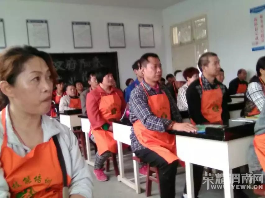 ��μ���м�����������ѵ�࿪ѧ����