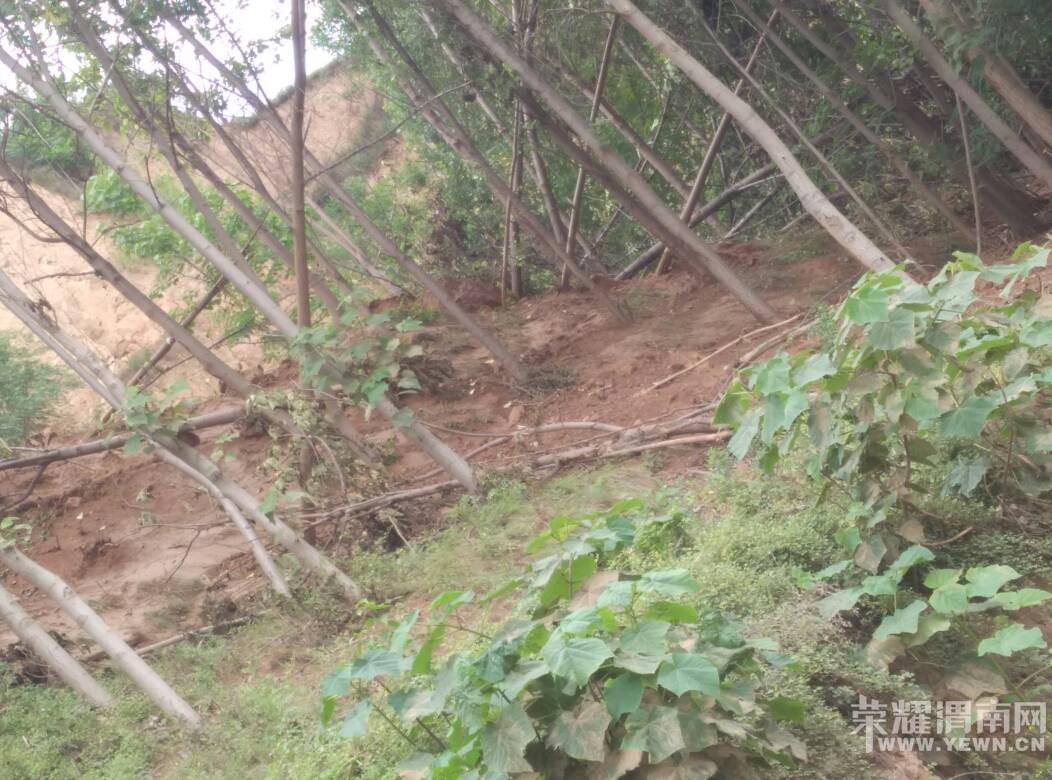 121841brprvvvrrj91n9y7.jpg